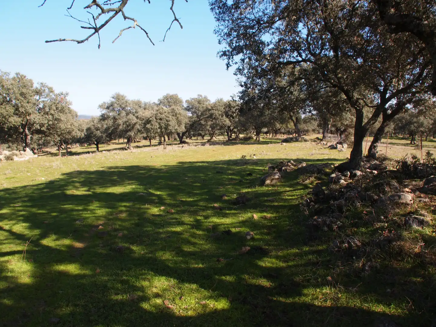 Country house zum Verkauf in Santa Olalla del Cala