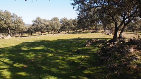 Foto 4 de Finca rústica en venda a Santa Olalla del Cala, Huelva