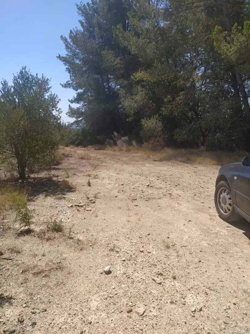 Terreno rustico in vendita a Riudecanyes, imagen 4