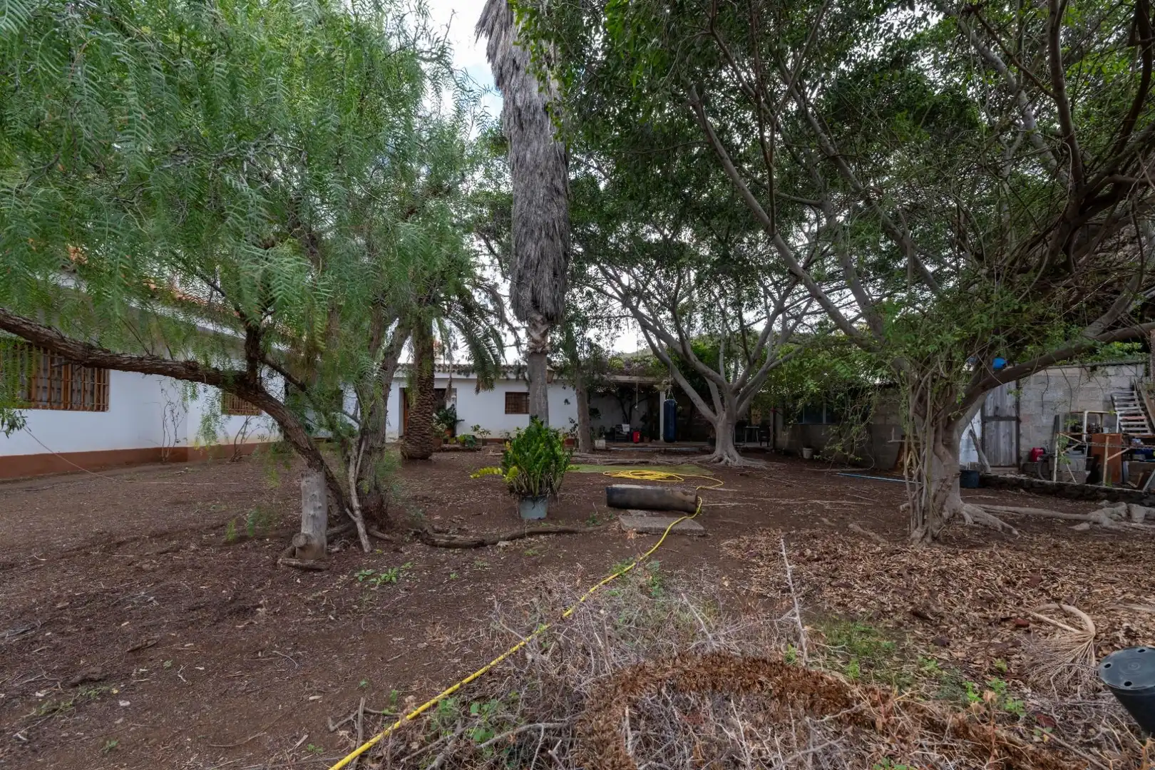Casa o chalet en venta en Calle FUENTE MORALES, Almatriche