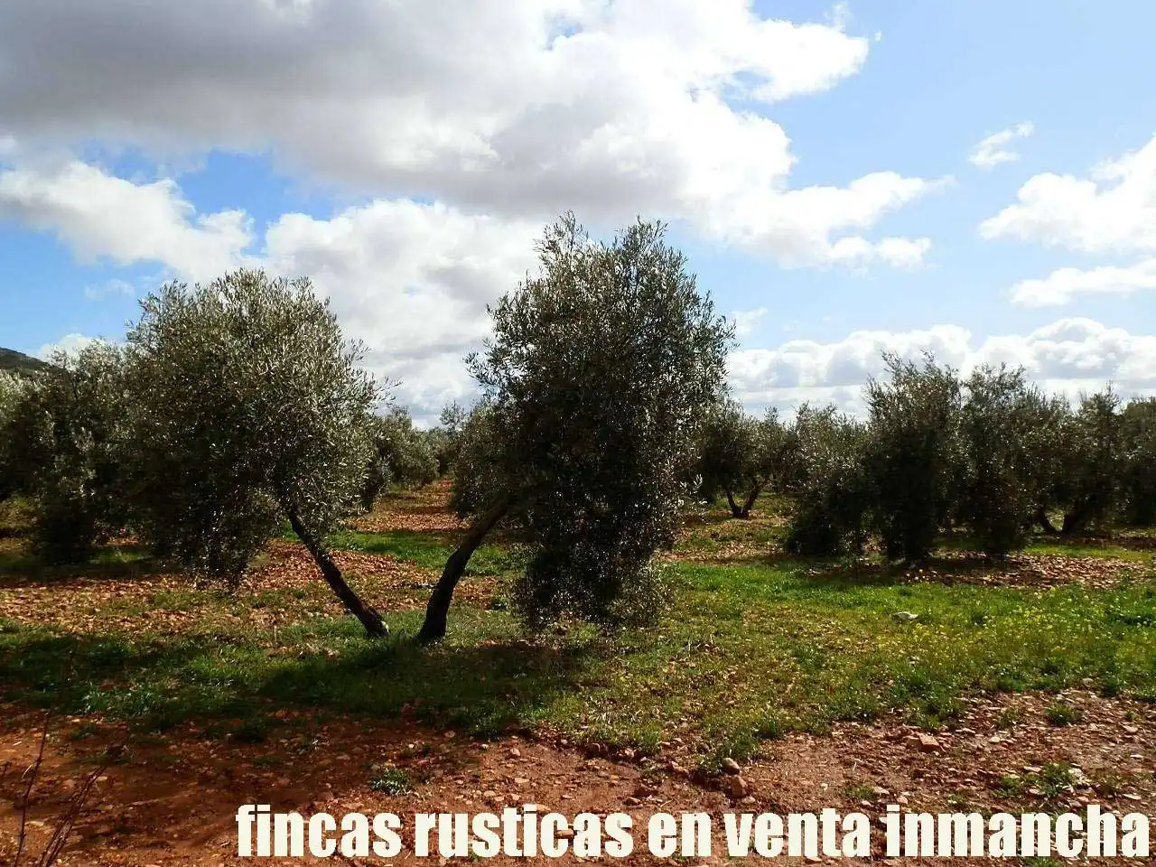 Rural land for sale in Valdepeñas, imagen 9