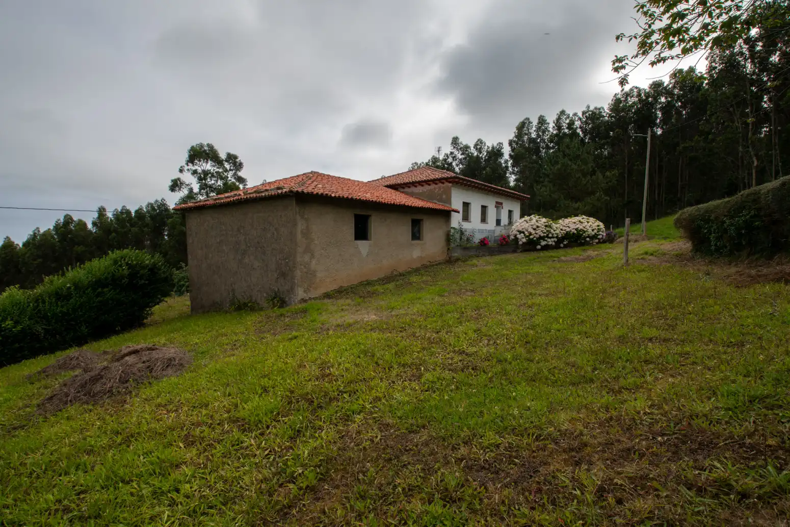 Exterior view of Houses for sale in Villaviciosa  with Private garden