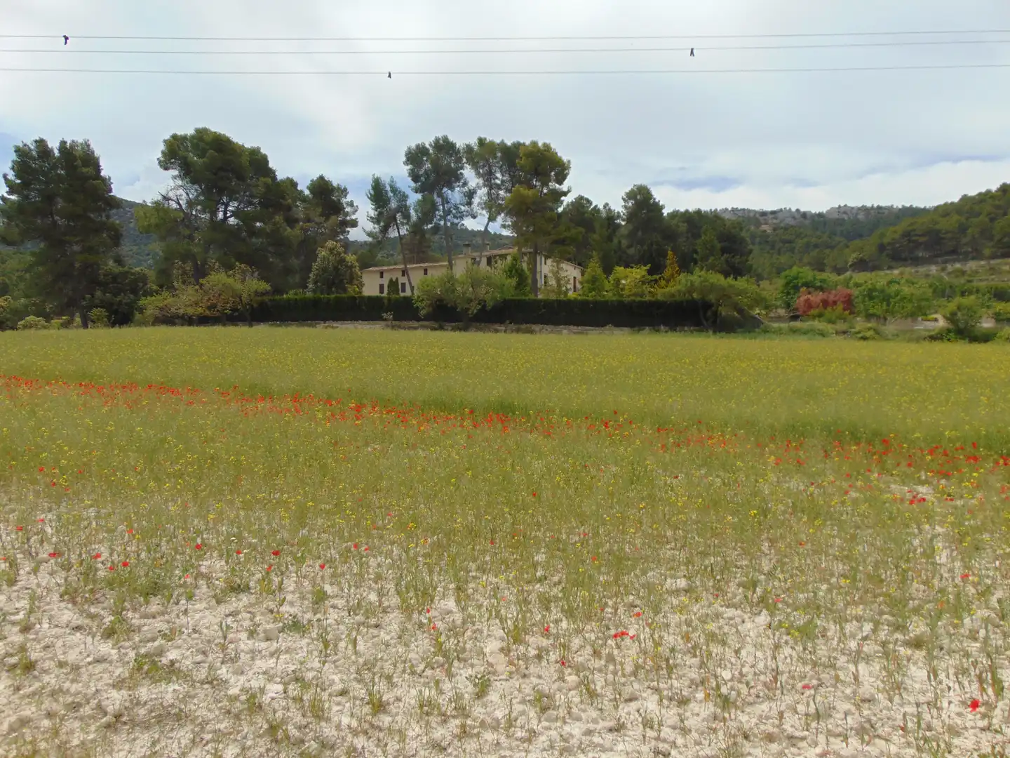Casa rustica con piscina in vendita a Partida Polop Baix, imagen 96