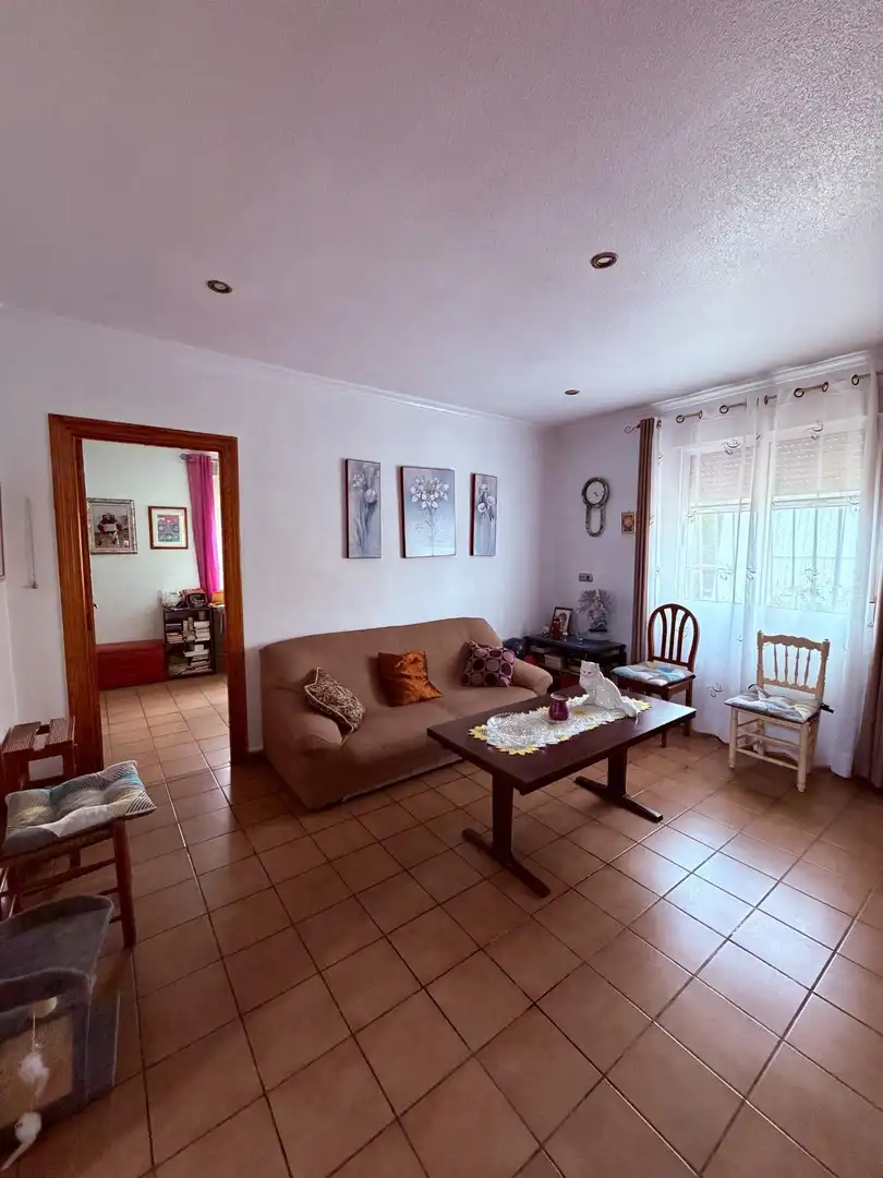 Sala d'estar de Casa o xalet en venda en Crevillent