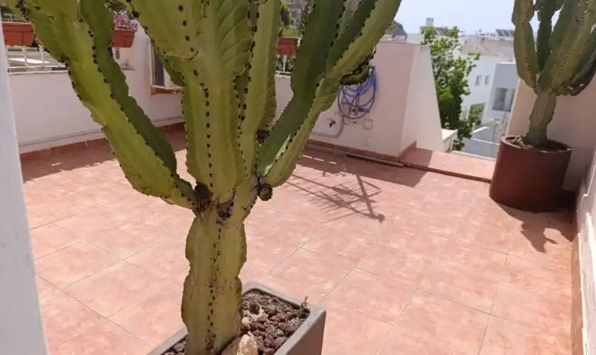Terraza de Casa adosada en venta en Níjar con Terraza y Amueblado