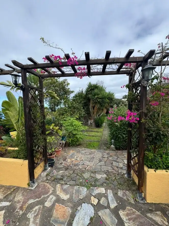 Jardí de Finca rústica en venda en Icod de los Vinos amb Terrassa