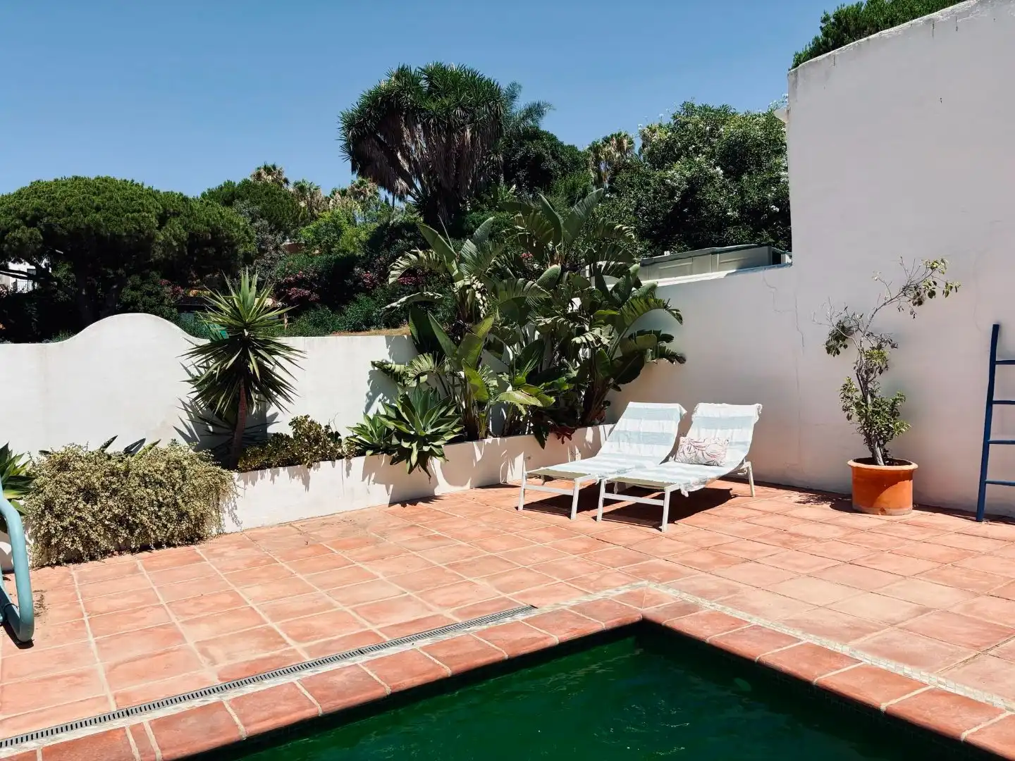 Xalet amb piscina en venda a AV ALPANDEIRE 104, imagen 3
