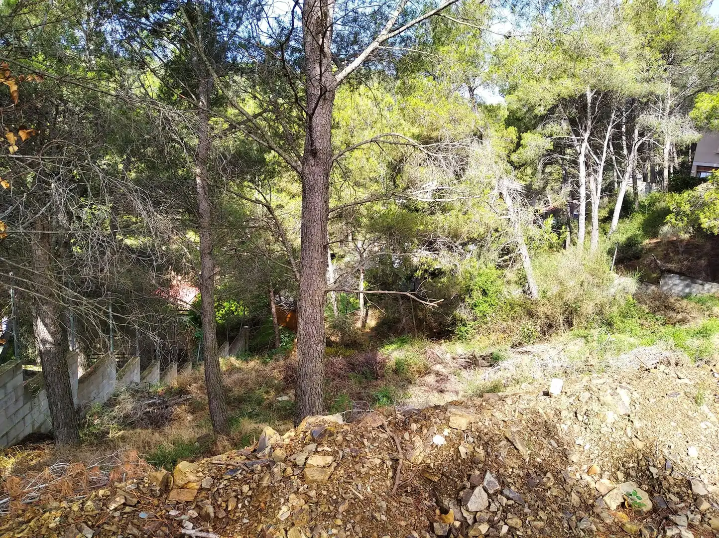 Terreni e lotti in vendita a Carrer Arbolí, imagen 7