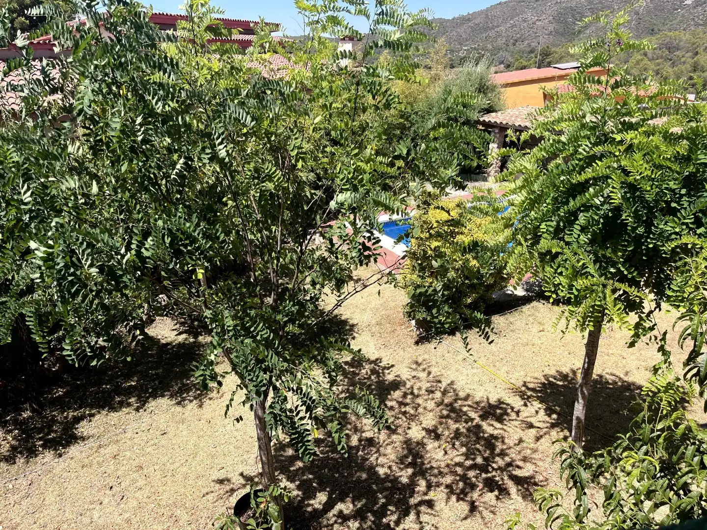 Jardín de Casa o chalet en venta en La Bisbal del Penedès con Calefacción, Terraza y Piscina