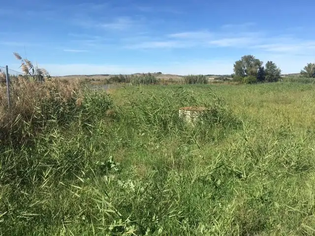 Rural land for sale in Chinchón, imagen 9