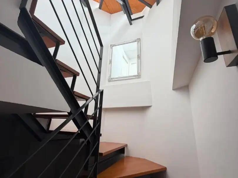 Houses for rent in Centro