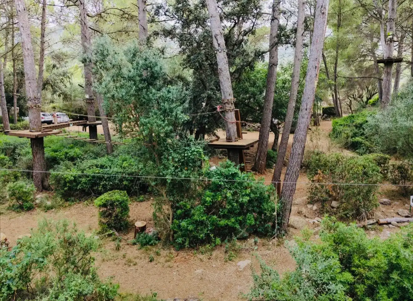 Jardín de Casa o chalet en venta en Parcent con Jardín privado, Terraza y Trastero