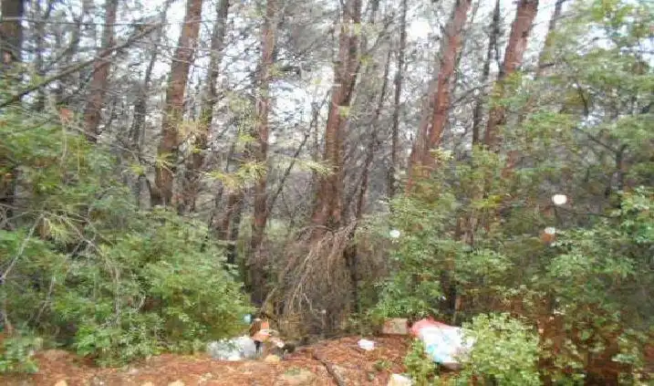 Terreno rustico in vendita a Fanzara, imagen 2