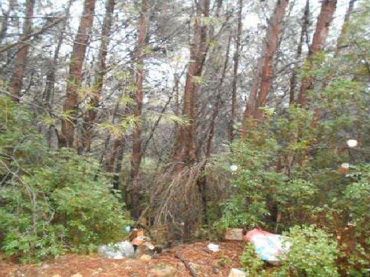 Rural land for sale in Fanzara