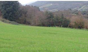 Terreno residencial en Venta en Allande