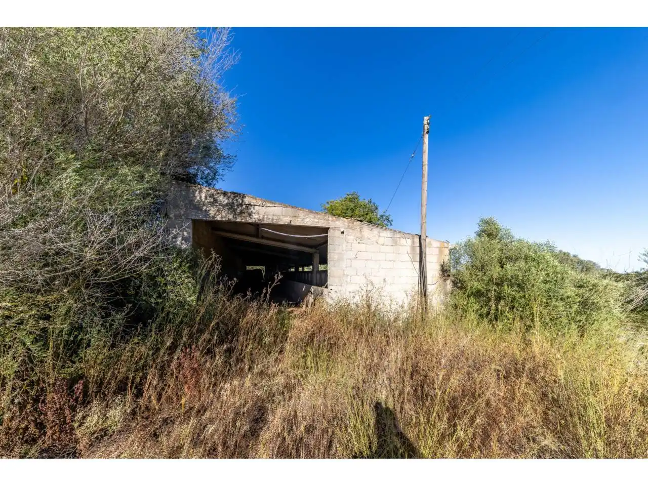 Terreno rustico in vendita a Llucmajor pueblo, imagen 84