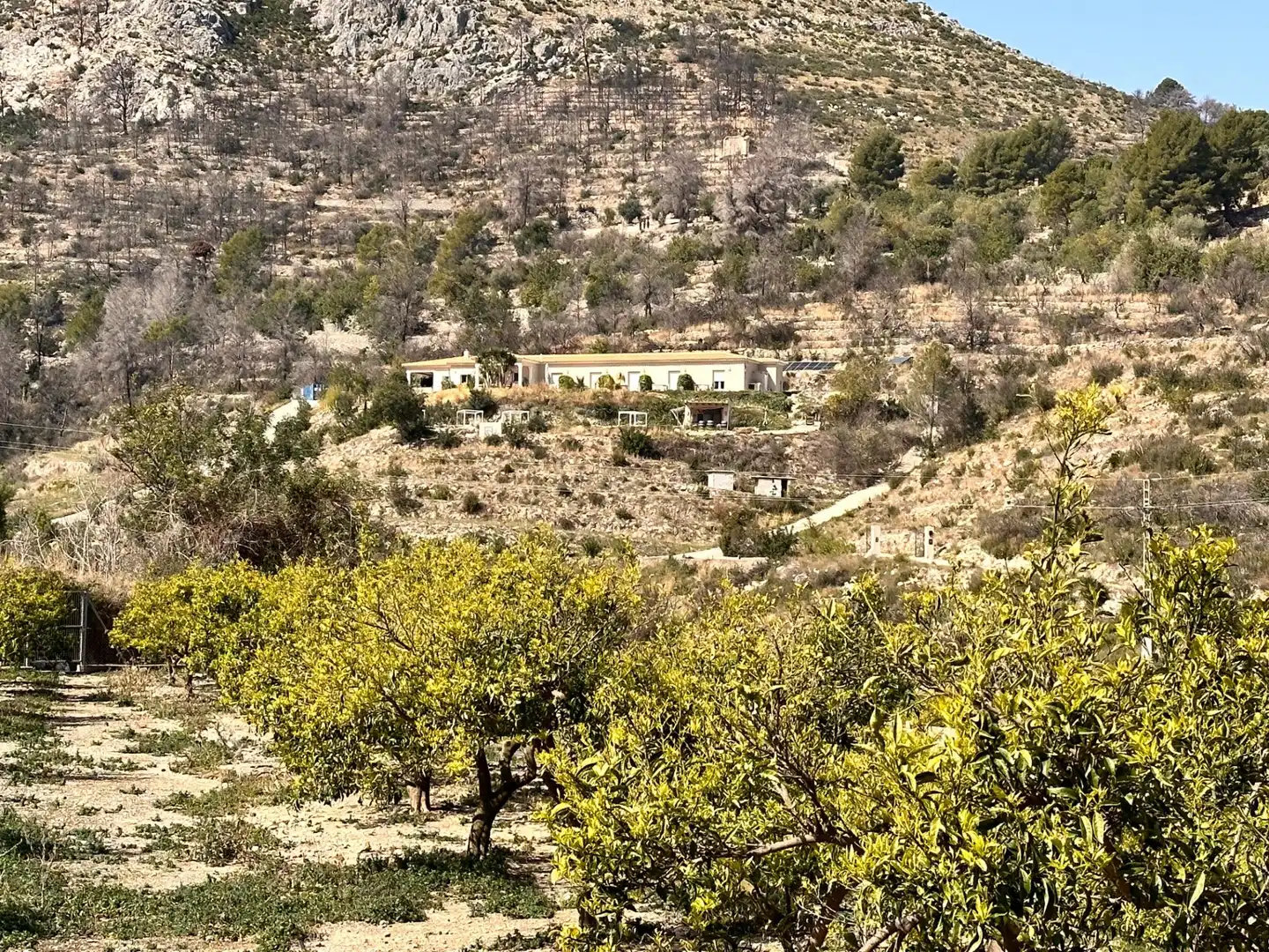 Vista exterior de Residencial en venta en L'Atzúbia