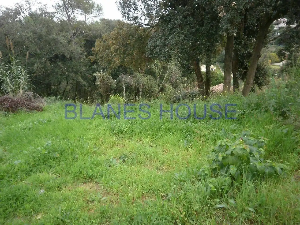Terreno residencial en venta en Palafolls, imagen 2