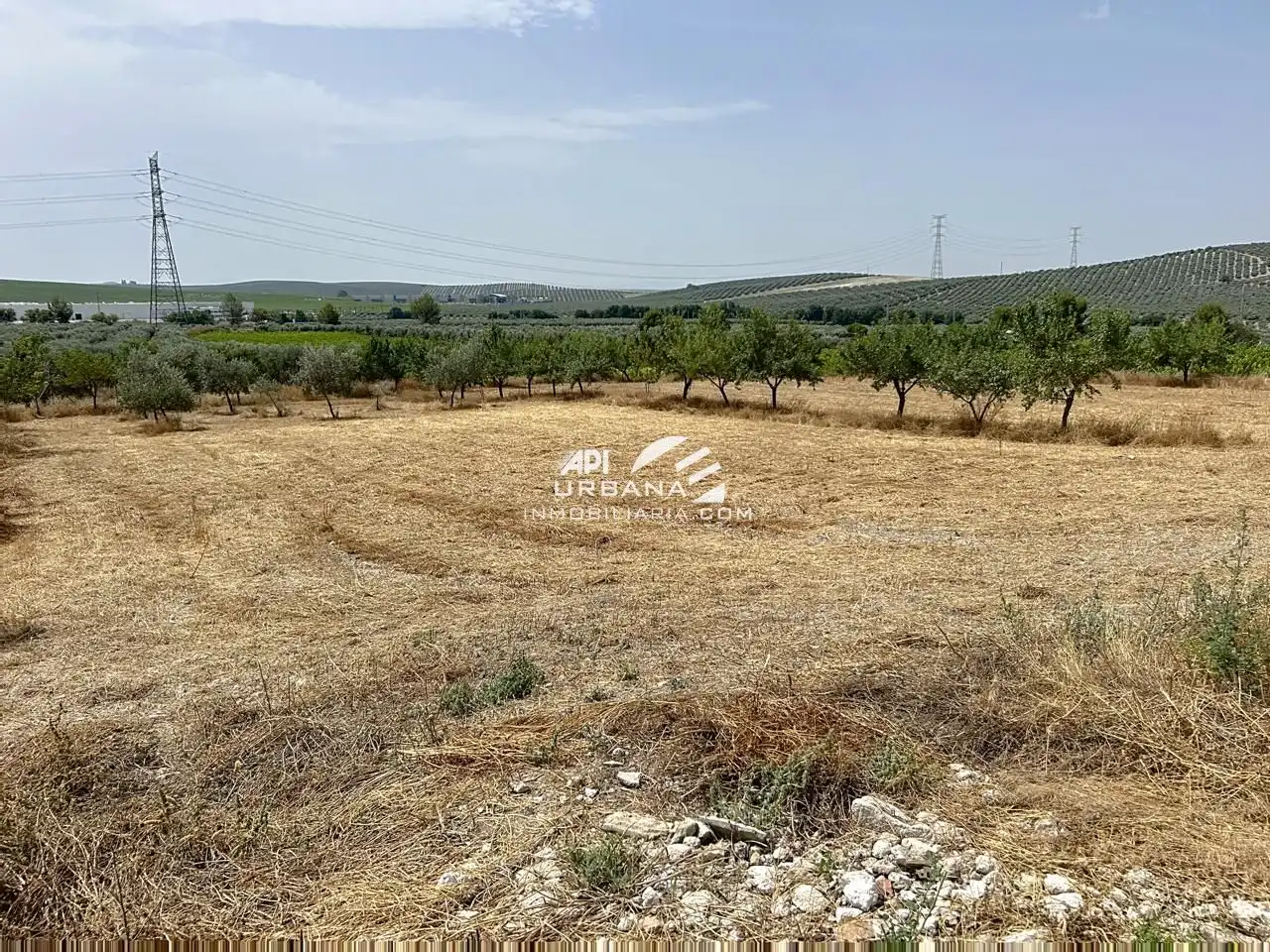 Casa amb piscina en venda a Cuesta Baltasar, imagen 23