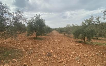 Finca rústica en venda en Padul