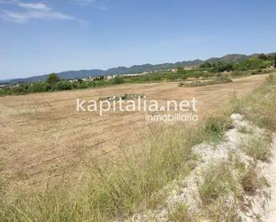 Land for sale in L'Olleria