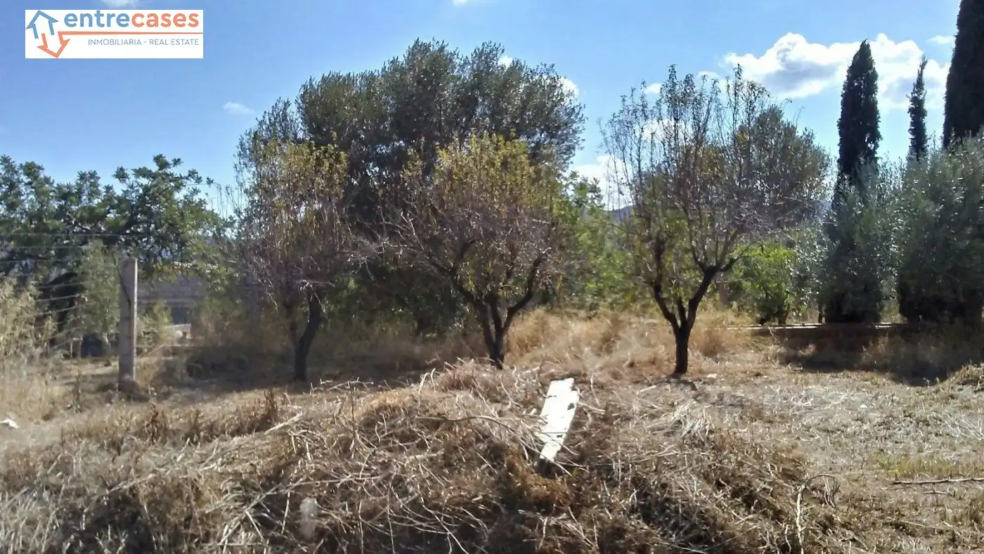Rural land for sale in Albalat dels Tarongers