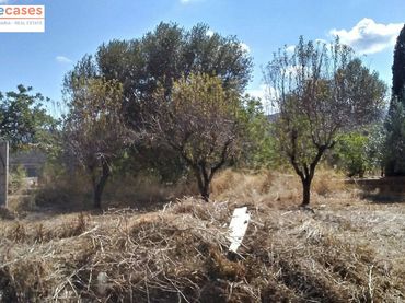 Rural land for sale in Albalat dels Tarongers