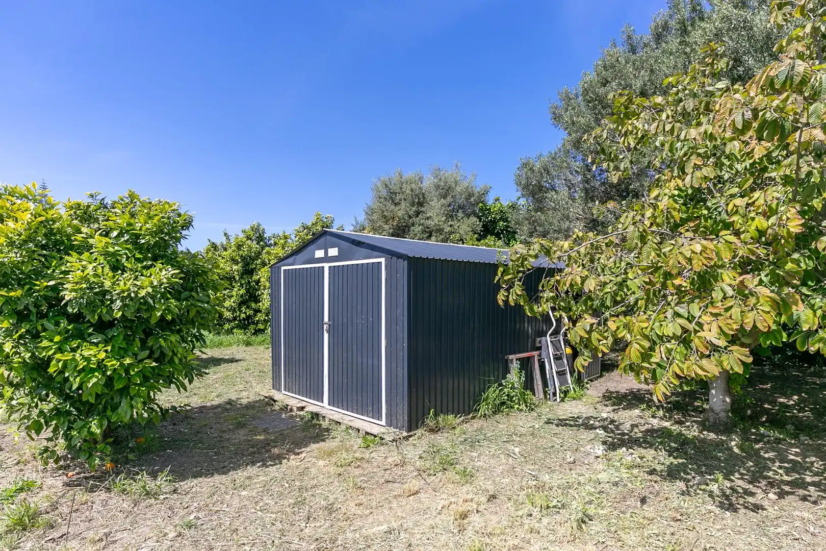 Country homes for sale in Polígono 23 Parcela 308 HUERTA LOS SACRISTAN. EST, 23, Las Lomas