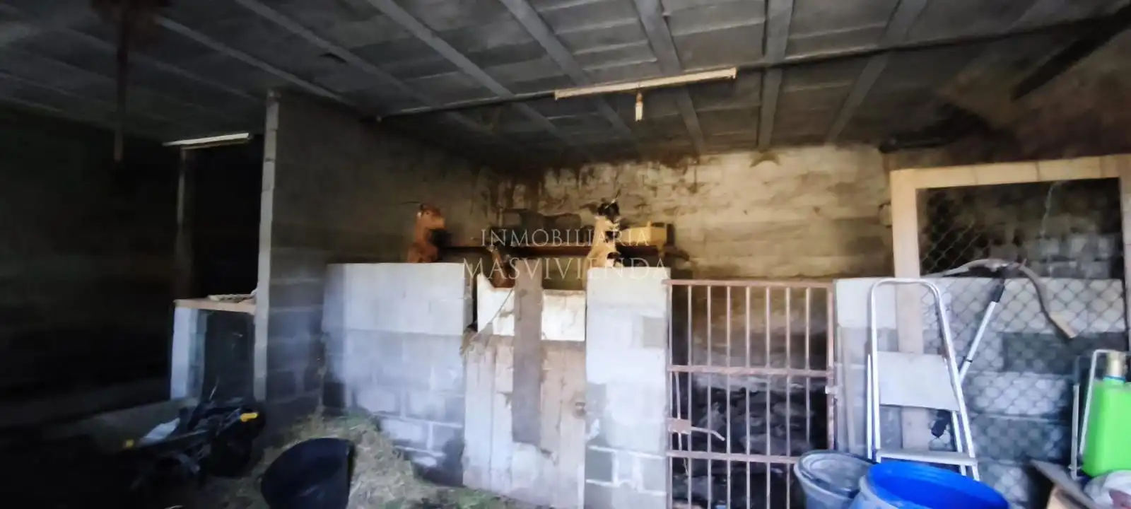 Detached homes for sale in Arrufana (Da)-Louredo, Mos
