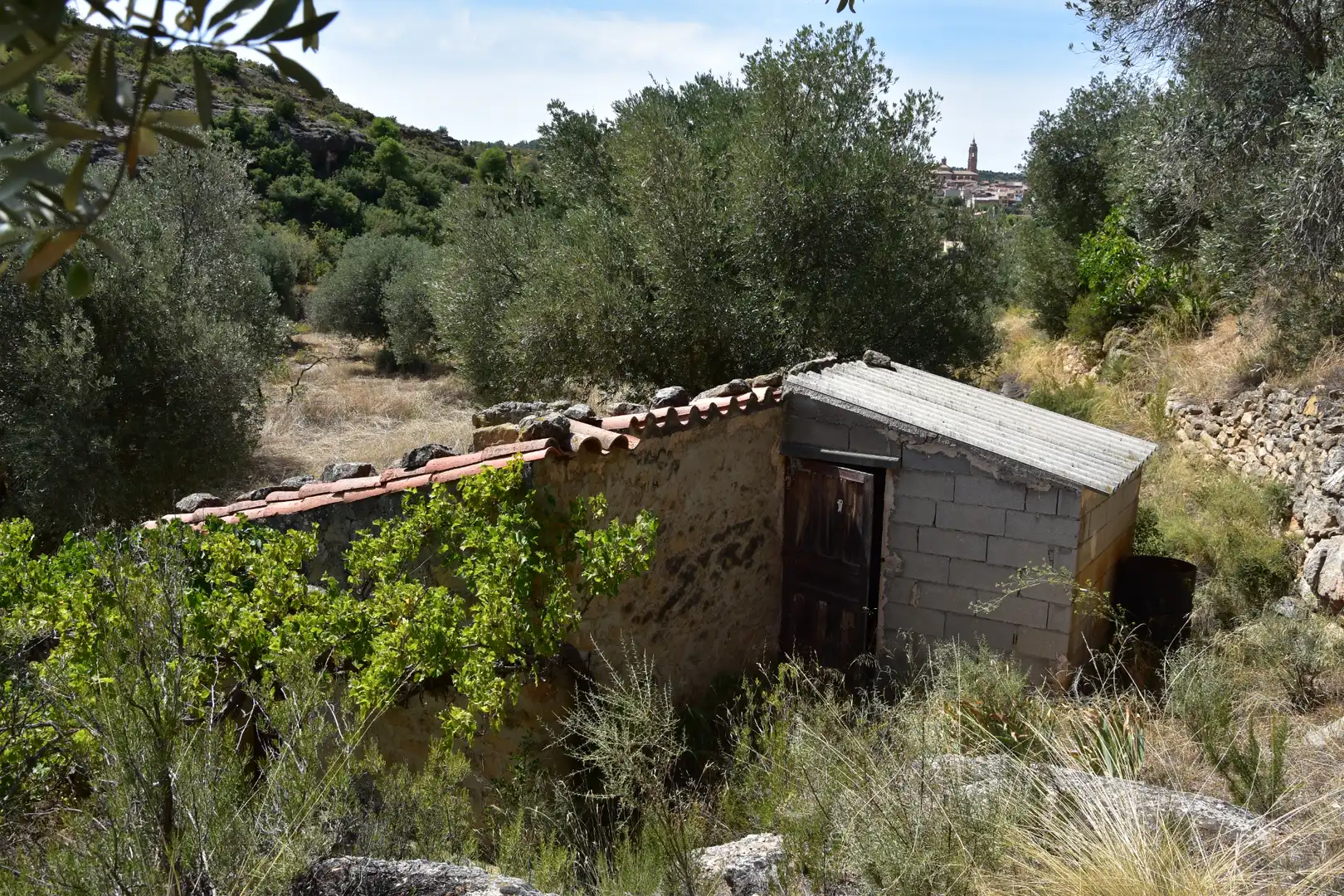 Terreni e lotti in vendita a Valdealgorfa, imagen 3