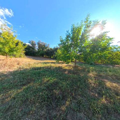 Terreno en Venta en Castaño del Robledo