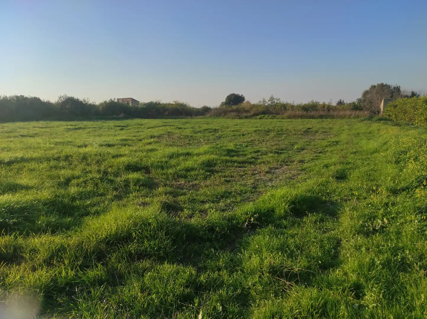 Terrenys i solars en venda a Pedanías Este, imagen 5