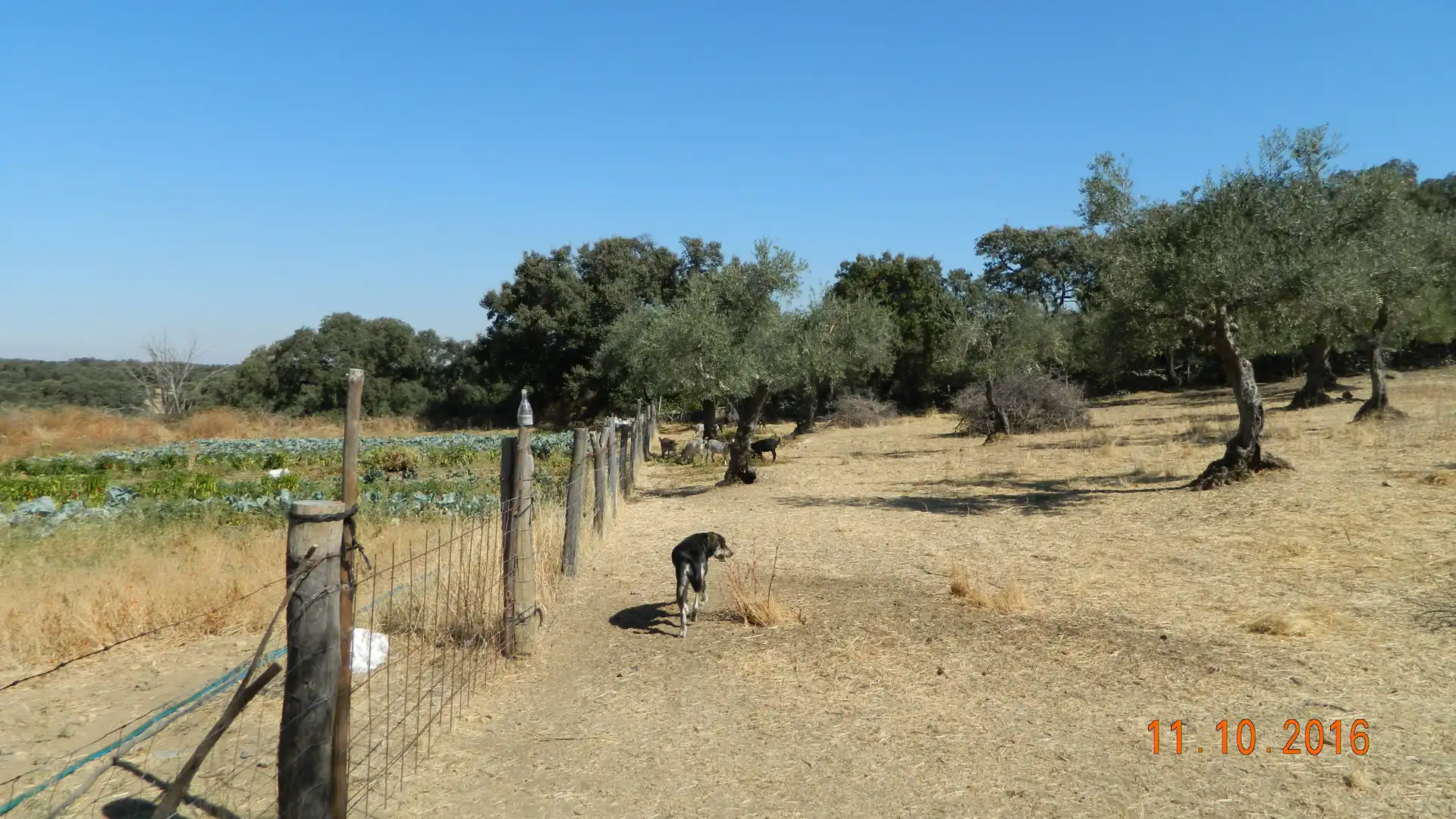 Rural land for sale in Calle Santa Ana 41, imagen 16