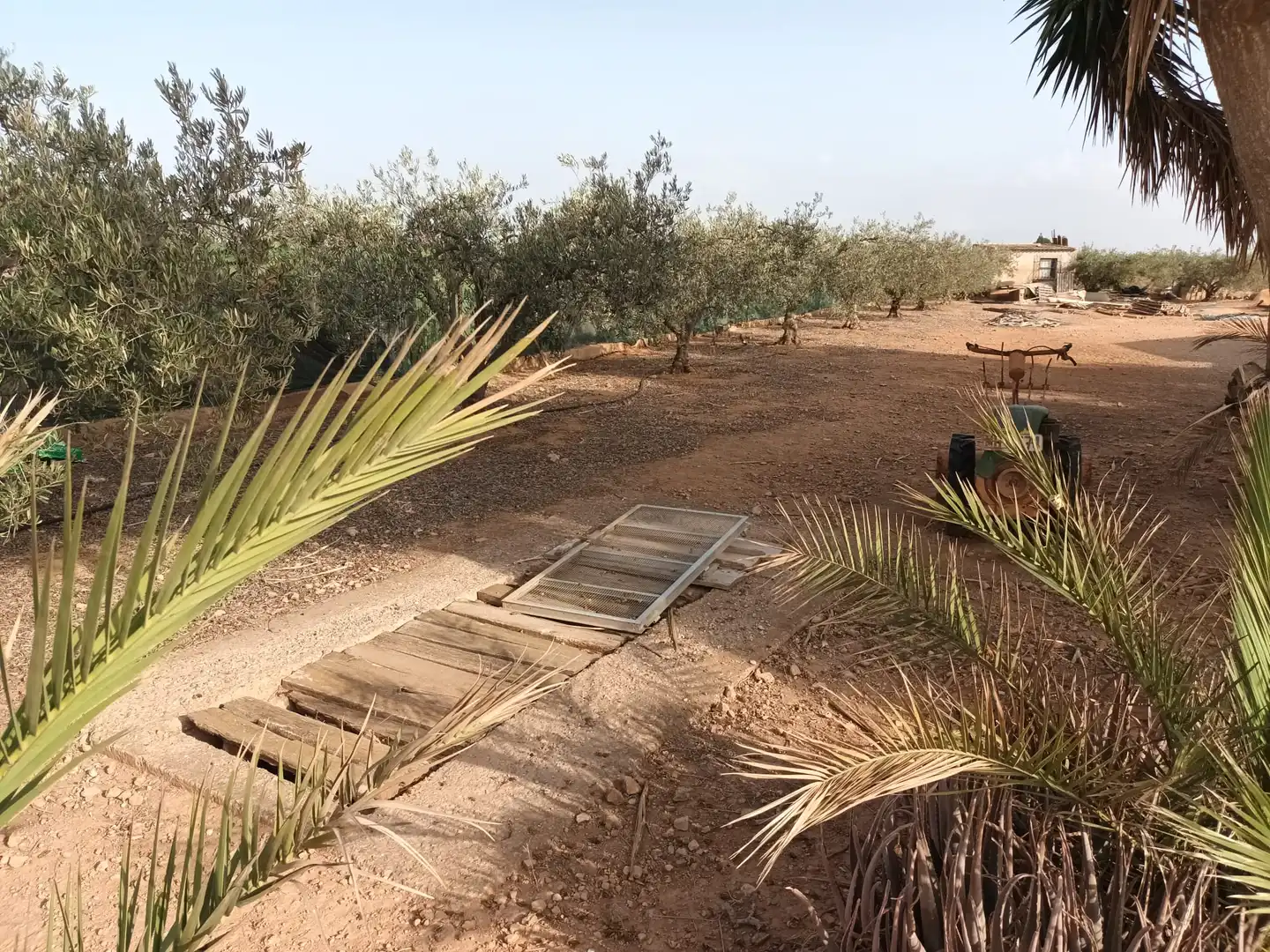 Garden of Houses for sale in Cartagena  with Terrace, Swimming Pool and Furnished