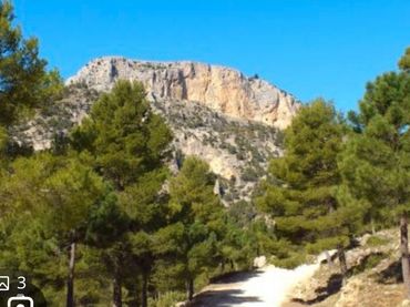 Terreno rustico in vendita a Carretera Moratalla 32