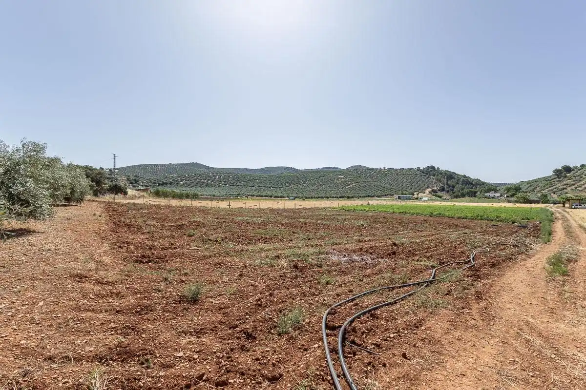 Land for sale in Montefrío