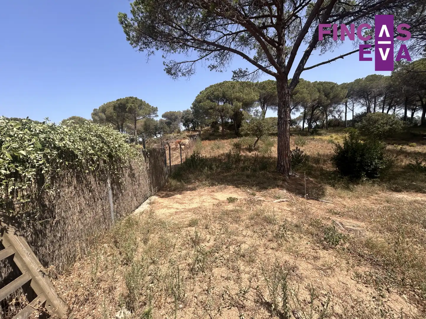 Rural land for sale in Vallromanes - CL SANT ANDREU, imagen 6