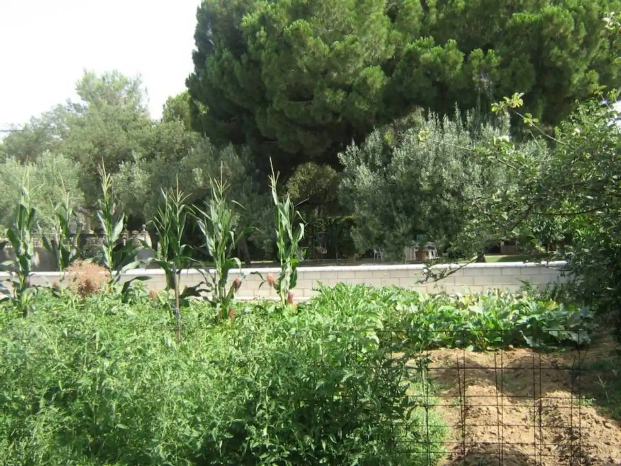 Garden of Houses for sale in Jerez de la Frontera  with Air Conditioner and Furnished