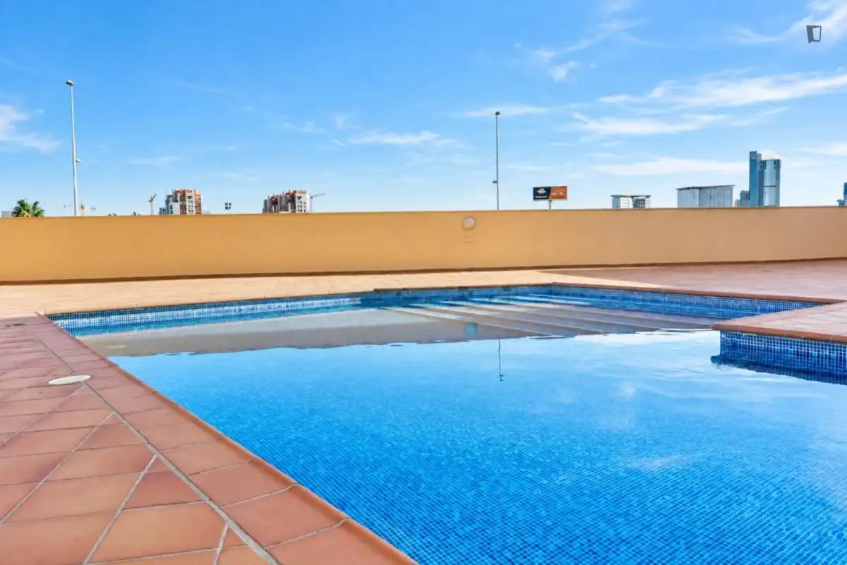 Swimming pool of Apartments for rent in El Castell