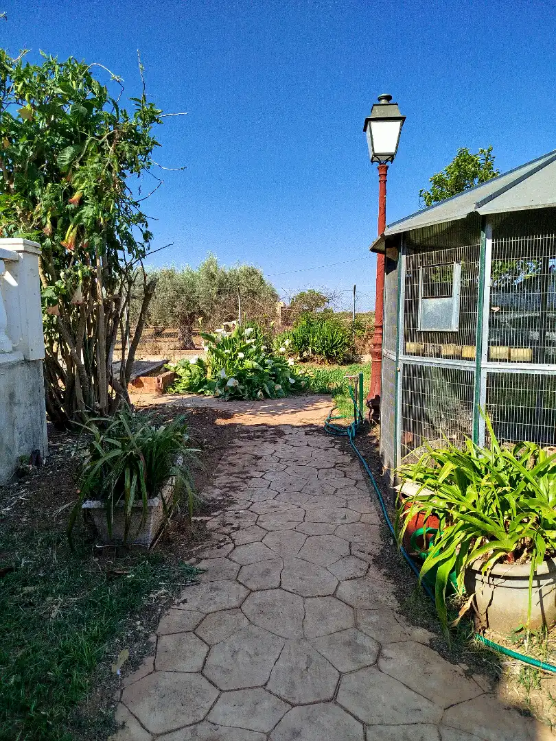 Jardí de Casa o xalet en venda en Benicarló amb Aire condicionat, Calefacció i Jardí privat