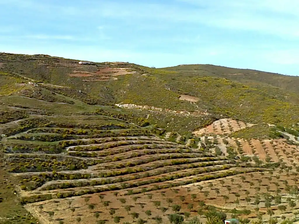 Casa o xalet en venda a del Hinojo a los Jerales, Lubrín