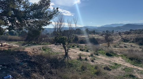 Finca de regadío con cortijo y almacenes gran oportunidad de inversion, immagine 5