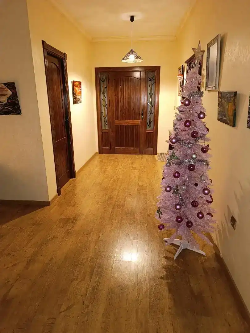Casa o chalet en venta en Padul