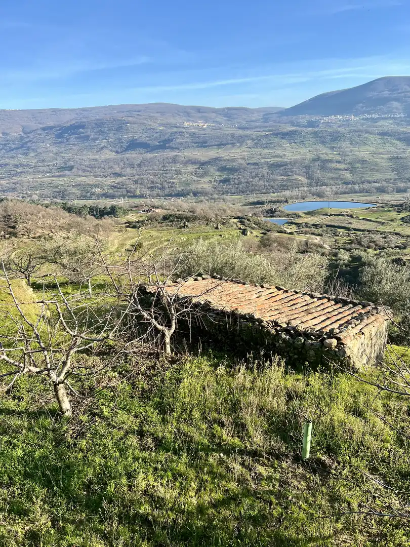 Terreni e lotti in vendita a El Torno, imagen 2