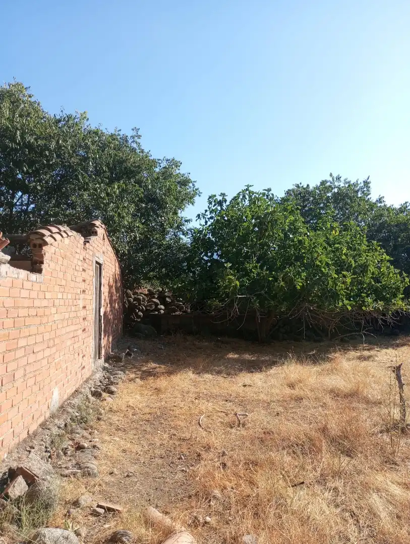 Terreni e lotti in vendita a Candeleda