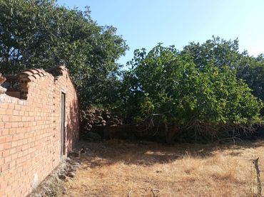 Terreno rustico in vendita a Candeleda
