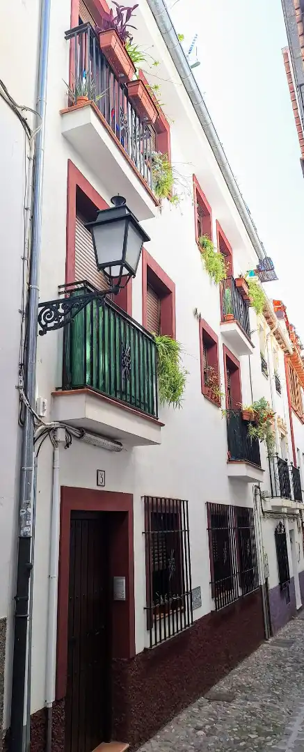 Apartamento de alquiler en Calle Honda del Realejo, San Matías - Realejo