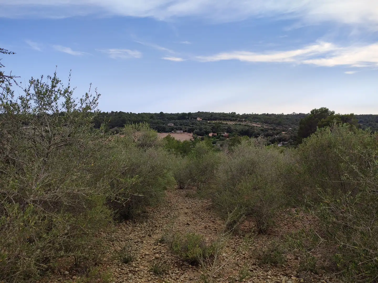 Terrain rustique à vendre à Sant Joan, imagen 13