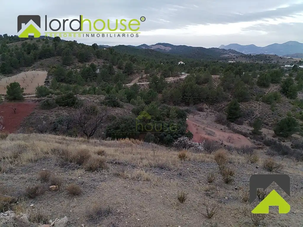 Casa o chalet en venta en Lorca