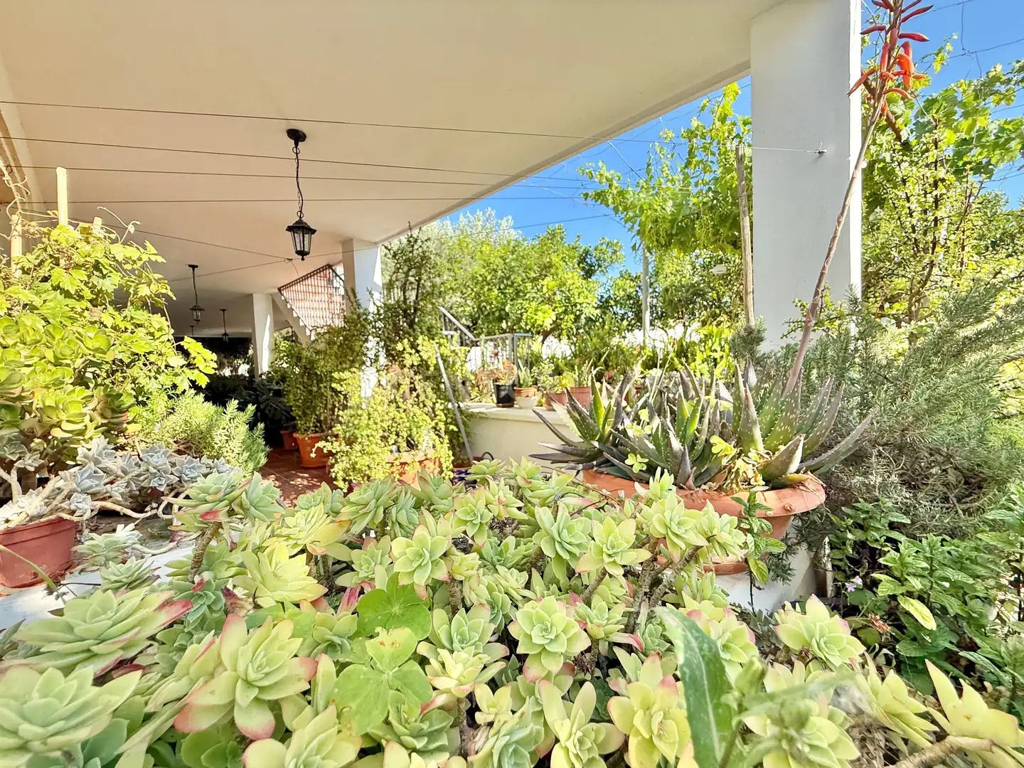 Casa amb jardí en venda a Berja, imagen 33